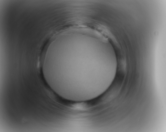 X0000088140505200706041339