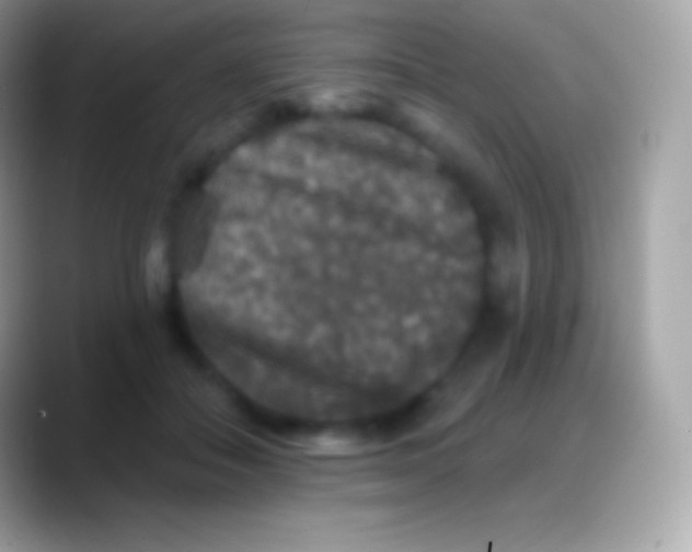 X0000088140506200706041339