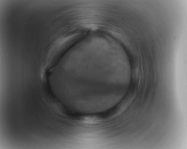 X0000088140508200706041339