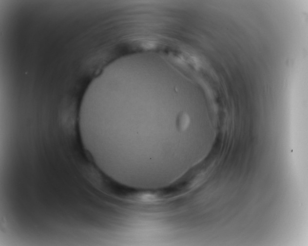 X0000088140509200706041339