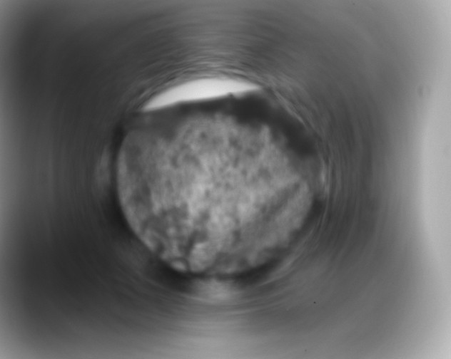 X0000088140511200706041339