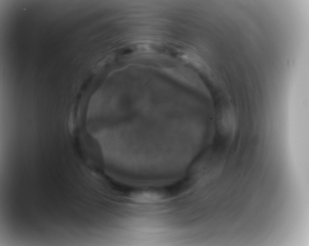 X0000088140512200706041339