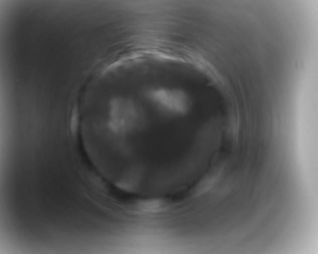 X0000088140513200706041339