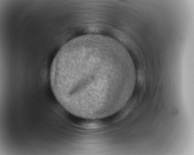 X0000088140514200706041339