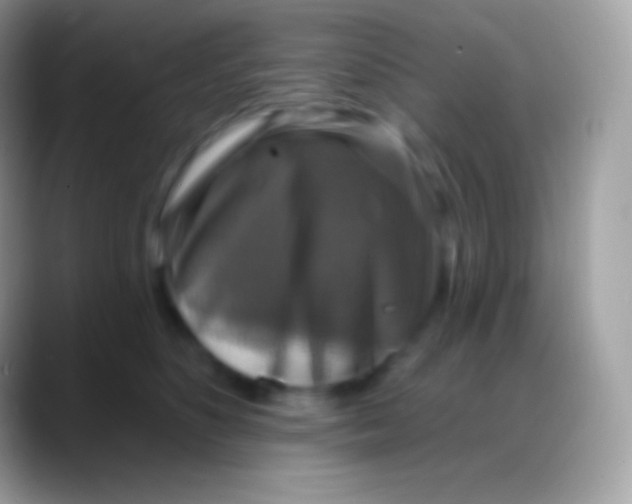 X0000088140516200706041339