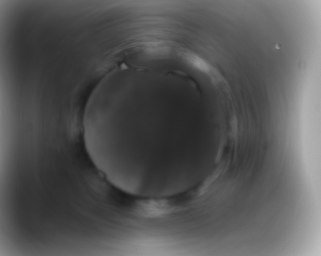 X0000088140517200706041339