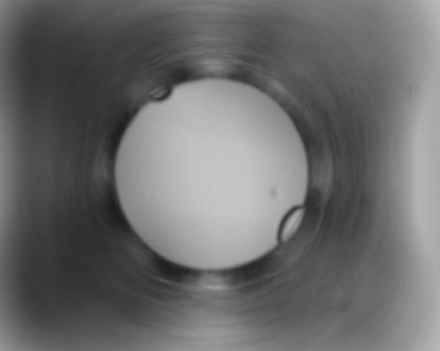 X0000088140518200706041339