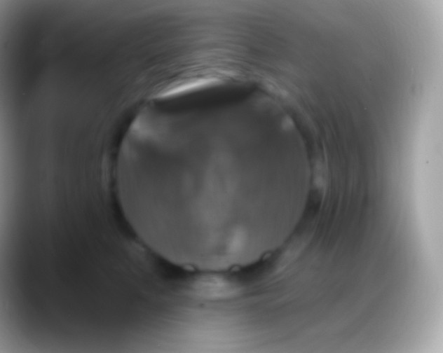 X0000088140519200706041339