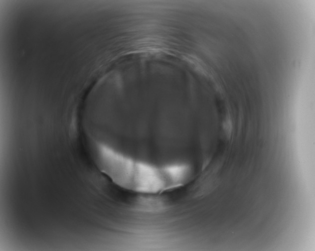 X0000088140520200706041339