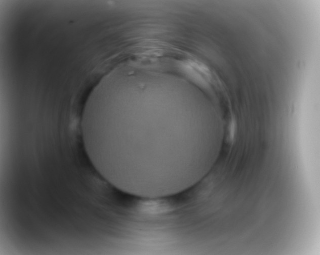 X0000088140521200706041339