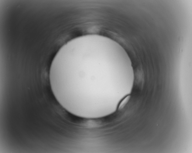 X0000088140522200706041339