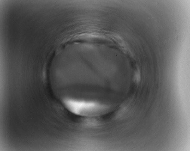 X0000088140524200706041339