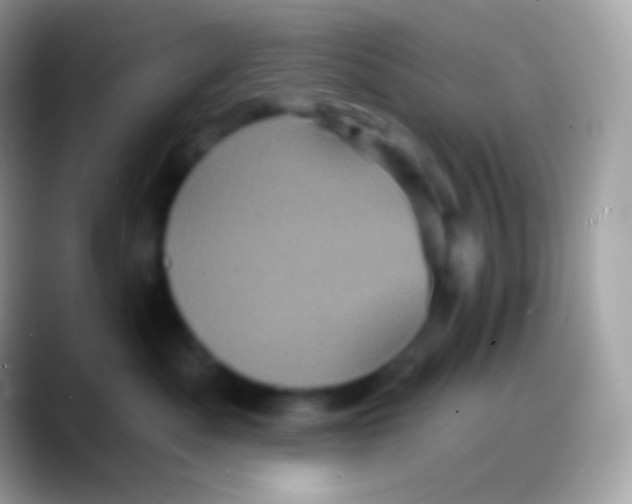 X0000088140525200706041339