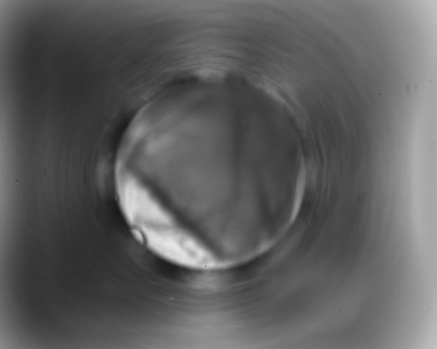 X0000088140527200706041339