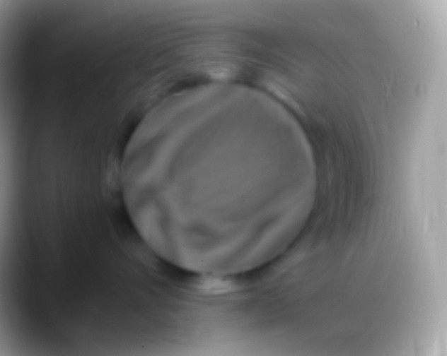 X0000088140528200706041339