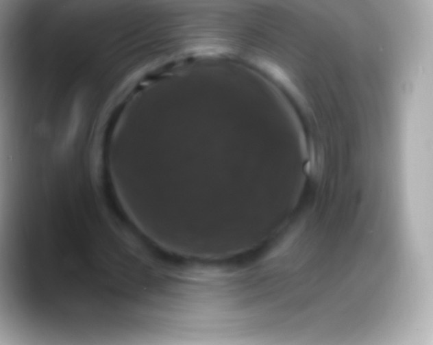 X0000088140531200706041338