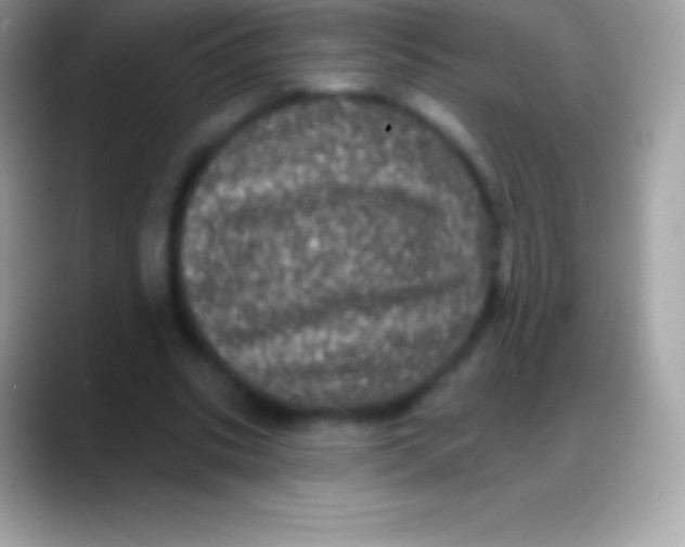 X0000088140535200706041339