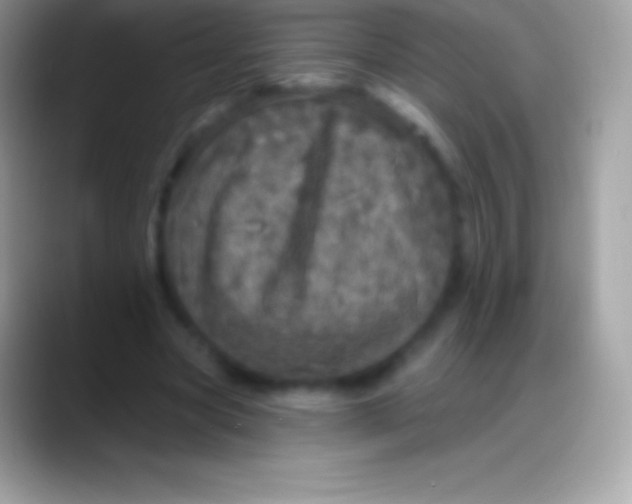 X0000088140537200706041339