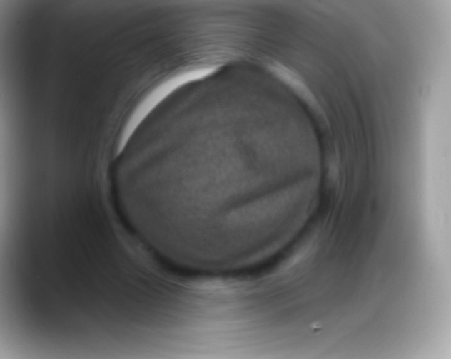 X0000088140538200706041339