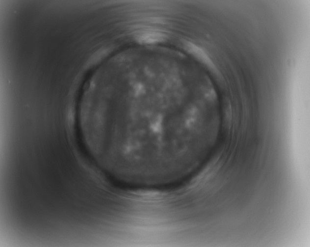 X0000088140539200706041339