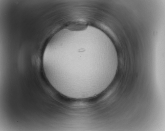 X0000088140541200706041339