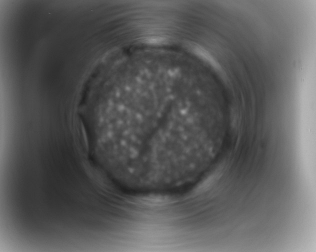 X0000088140542200706041339