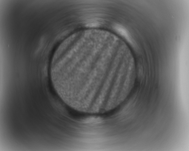 X0000088140543200706041339