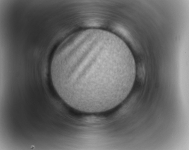 X0000088140544200706041339