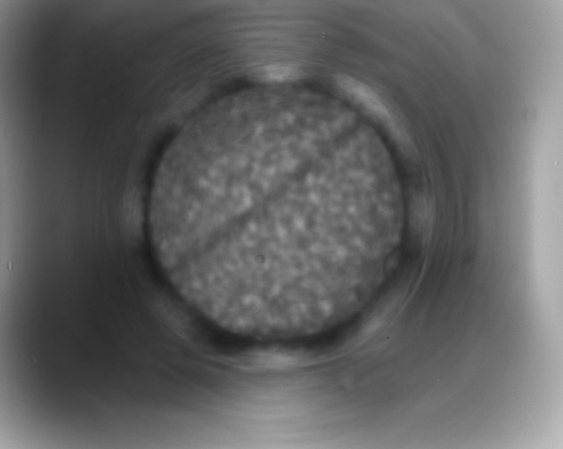 X0000088140545200706041339