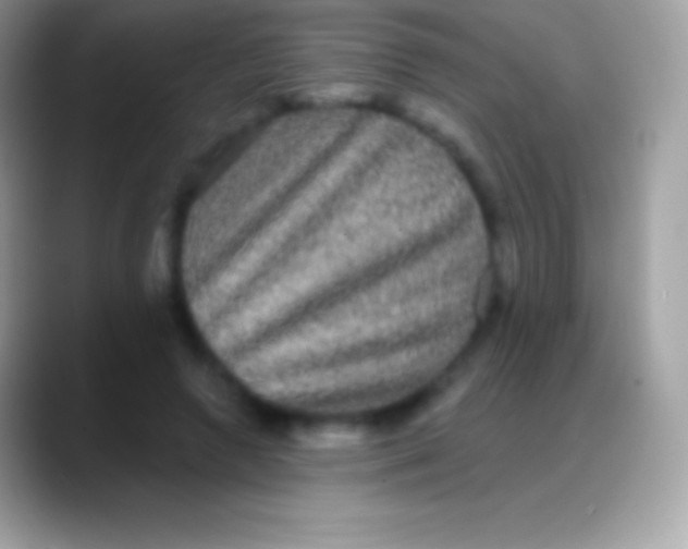 X0000088140546200706041339