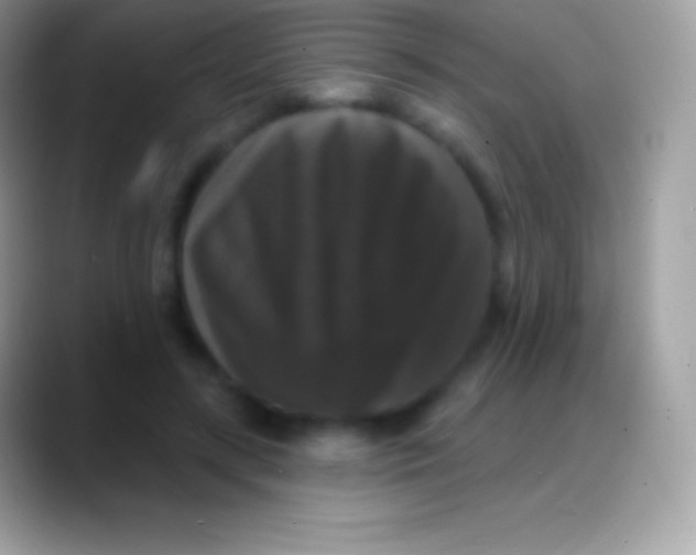 X0000088140547200706041339