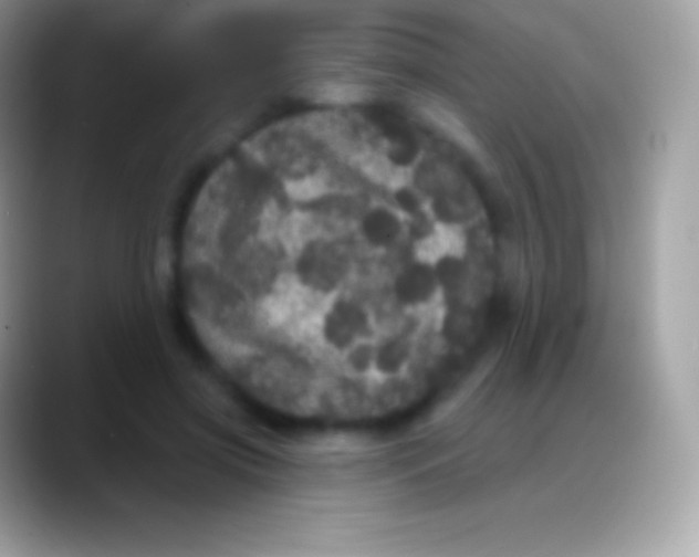 X0000088140549200706041339