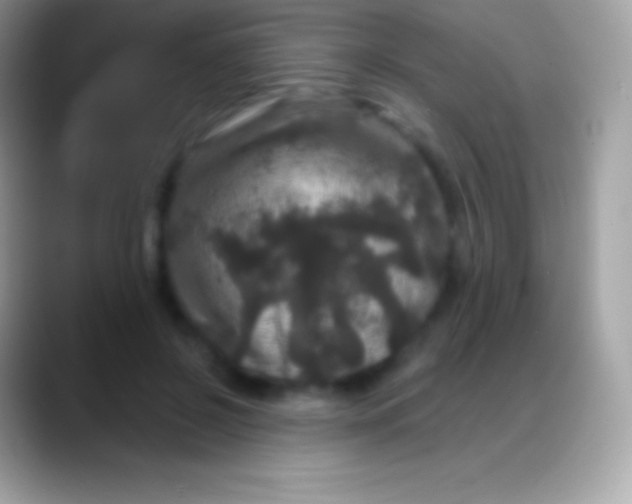 X0000088140550200706041339