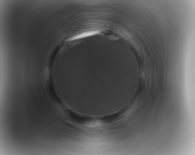 X0000088140551200706041339