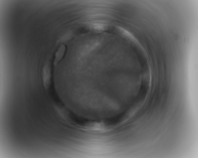 X0000088140552200706041339