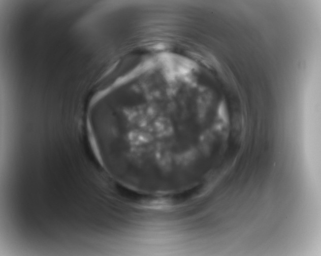 X0000088140553200706041339