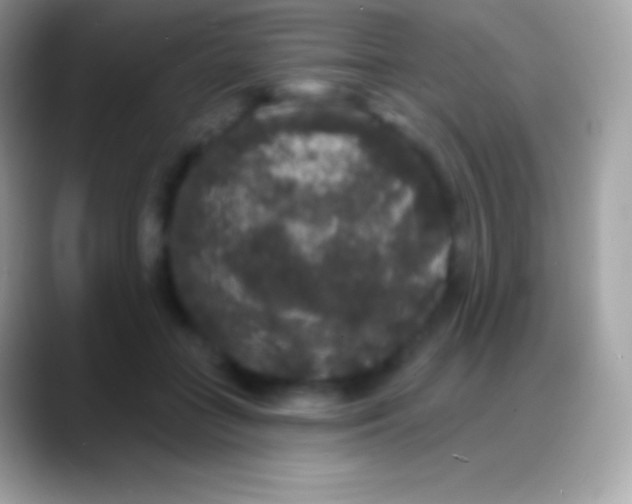 X0000088140555200706041339