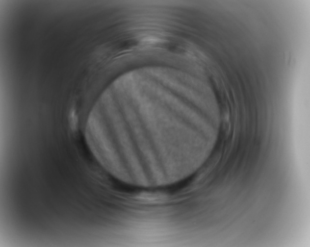 X0000088140556200706041339