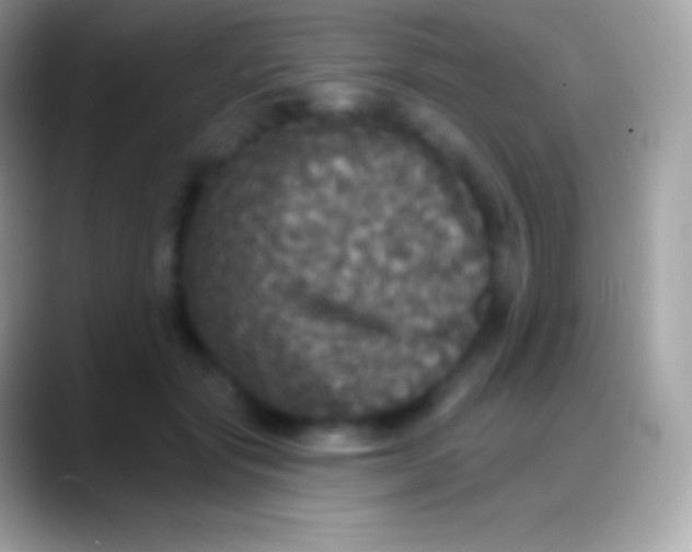 X0000088140557200706041339