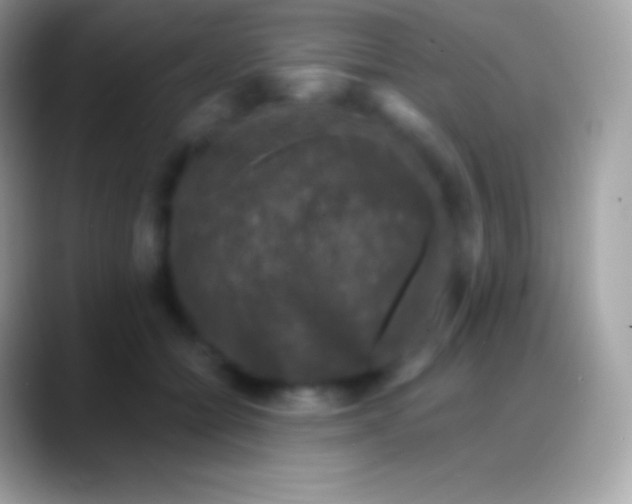 X0000088140558200706041339