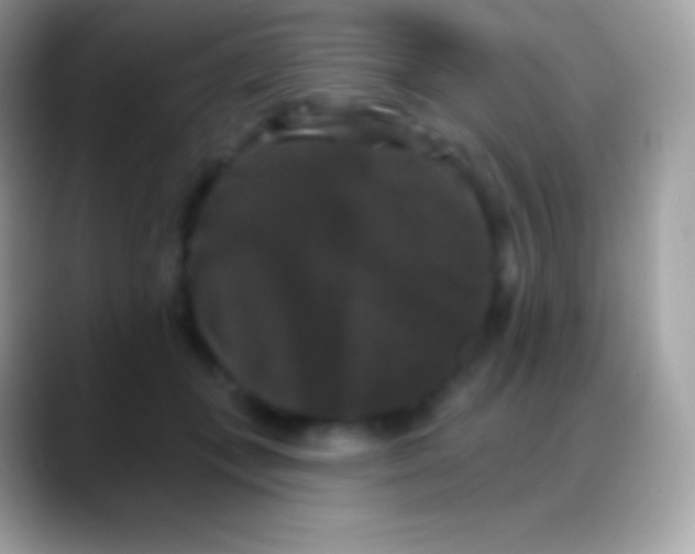 X0000088140559200706041339