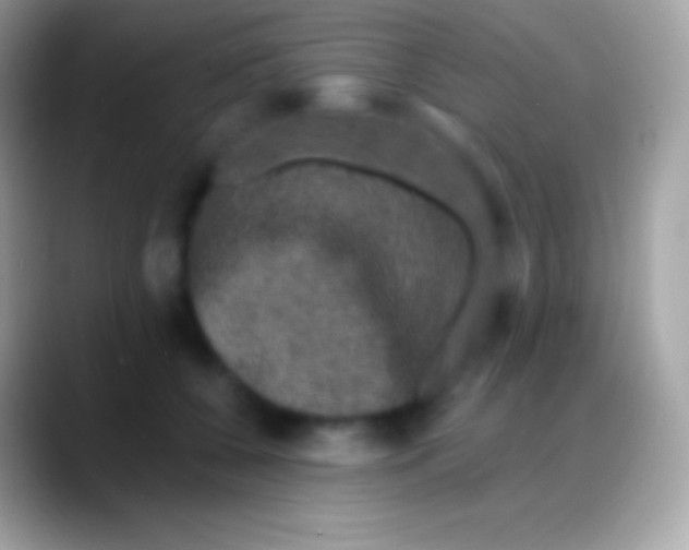 X0000088140560200706041339