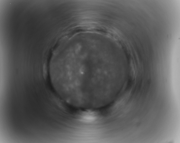 X0000088140562200706041339