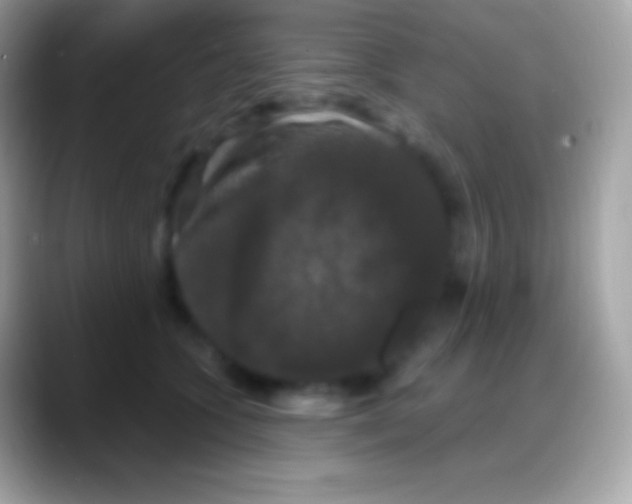 X0000088140563200706041339