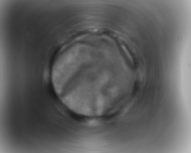 X0000088140564200706041339