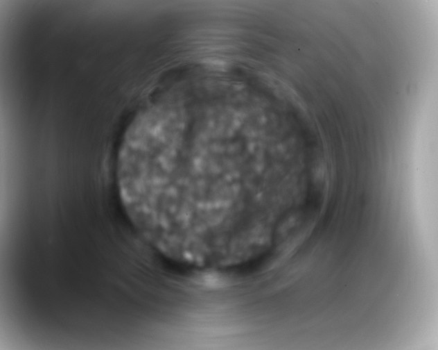 X0000088140565200706041339