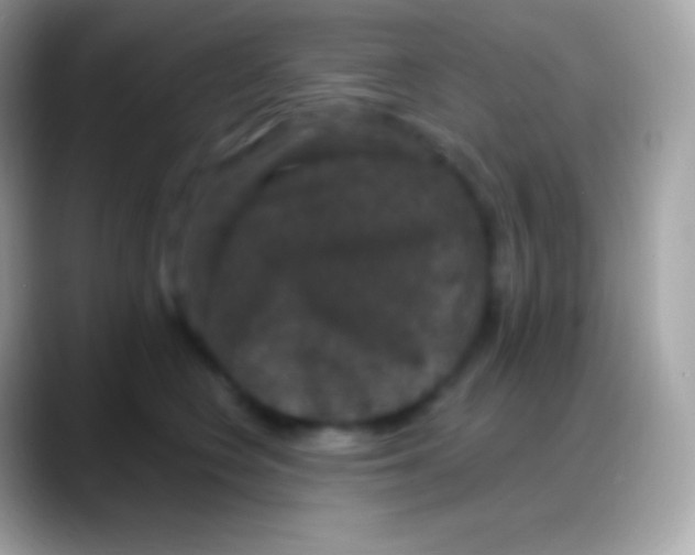 X0000088140566200706041339