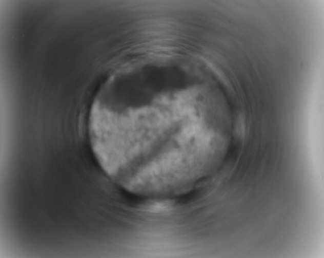 X0000088140569200706041339