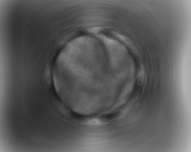 X0000088140572200706041339