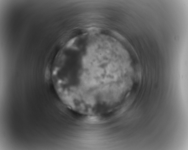 X0000088140573200706041339